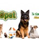 Zocopet - Tienda online de artículos para mascotas